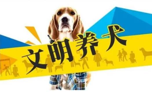 2023年3月1日起施行！《黃石市養(yǎng)犬管理?xiàng)l例》來(lái)了